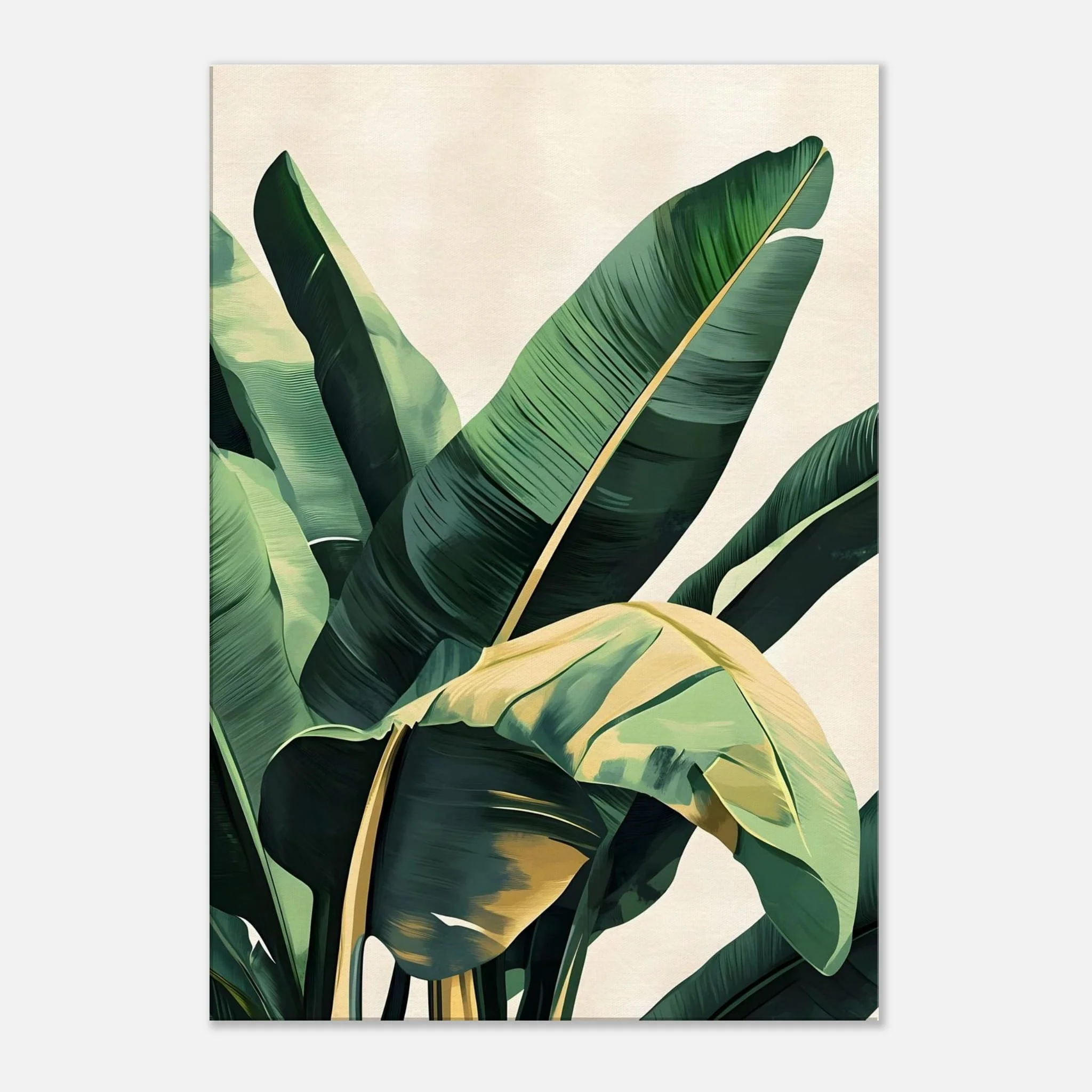 Productafbeelding 5
