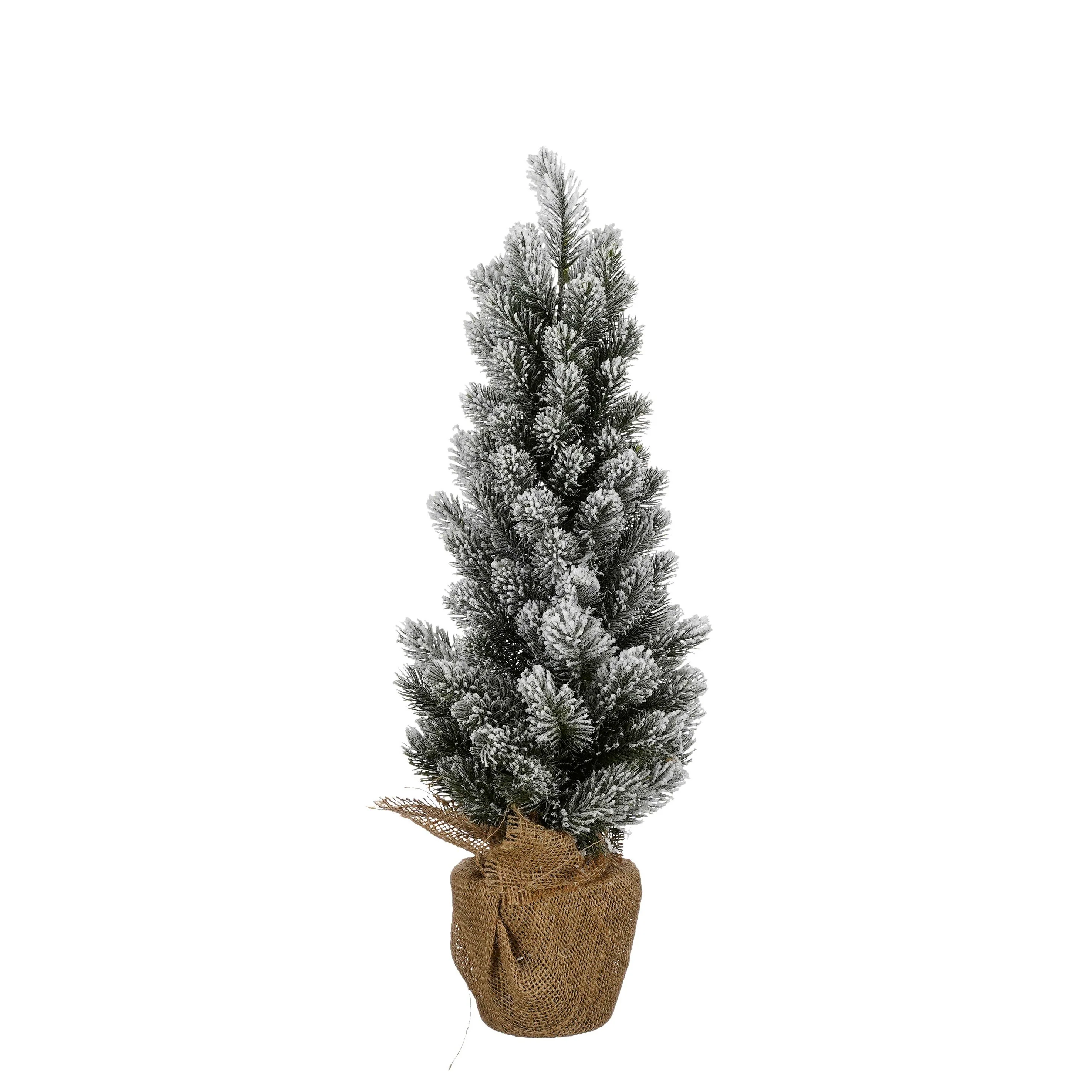 Miniatuur 1
