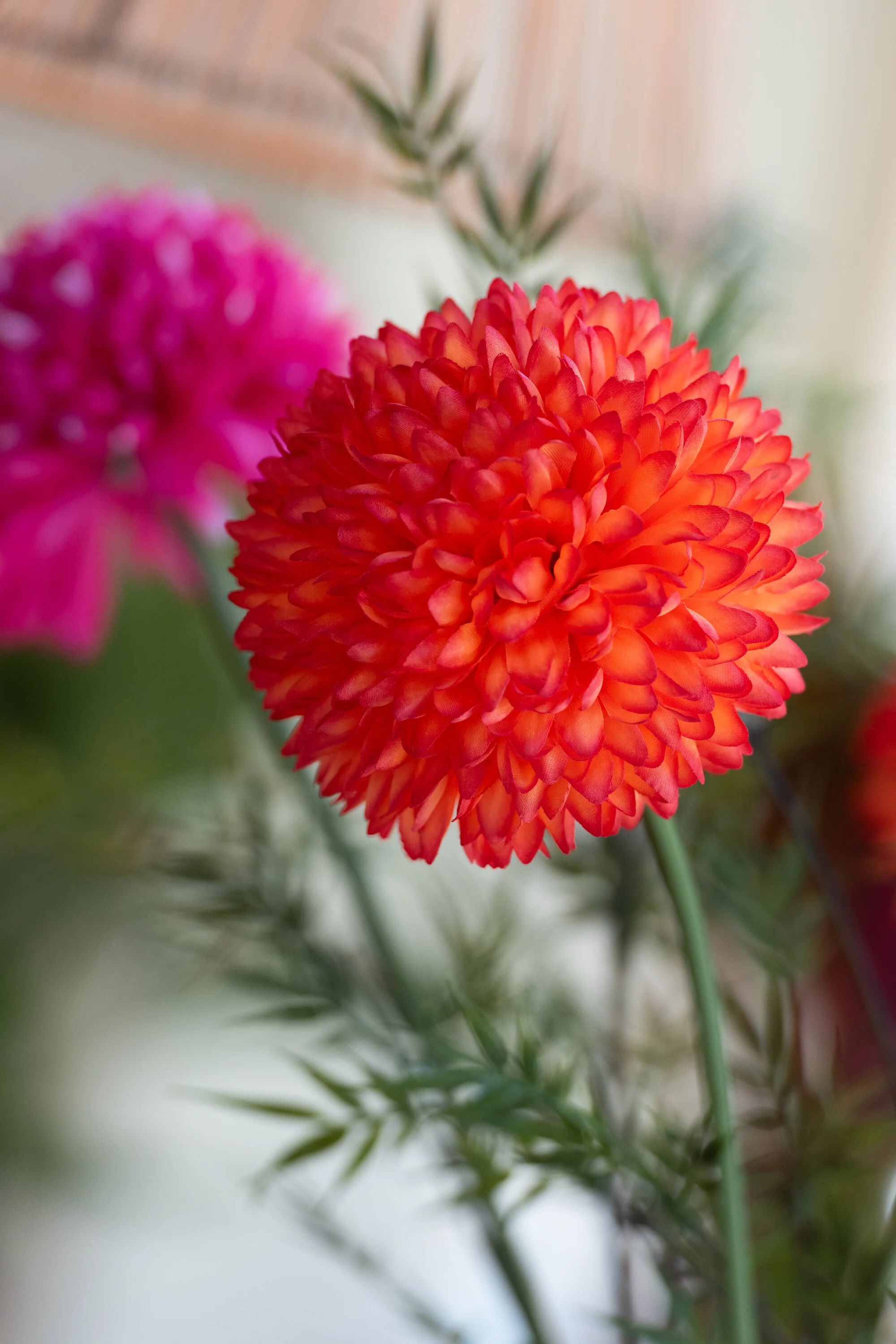 Miniatuur 1