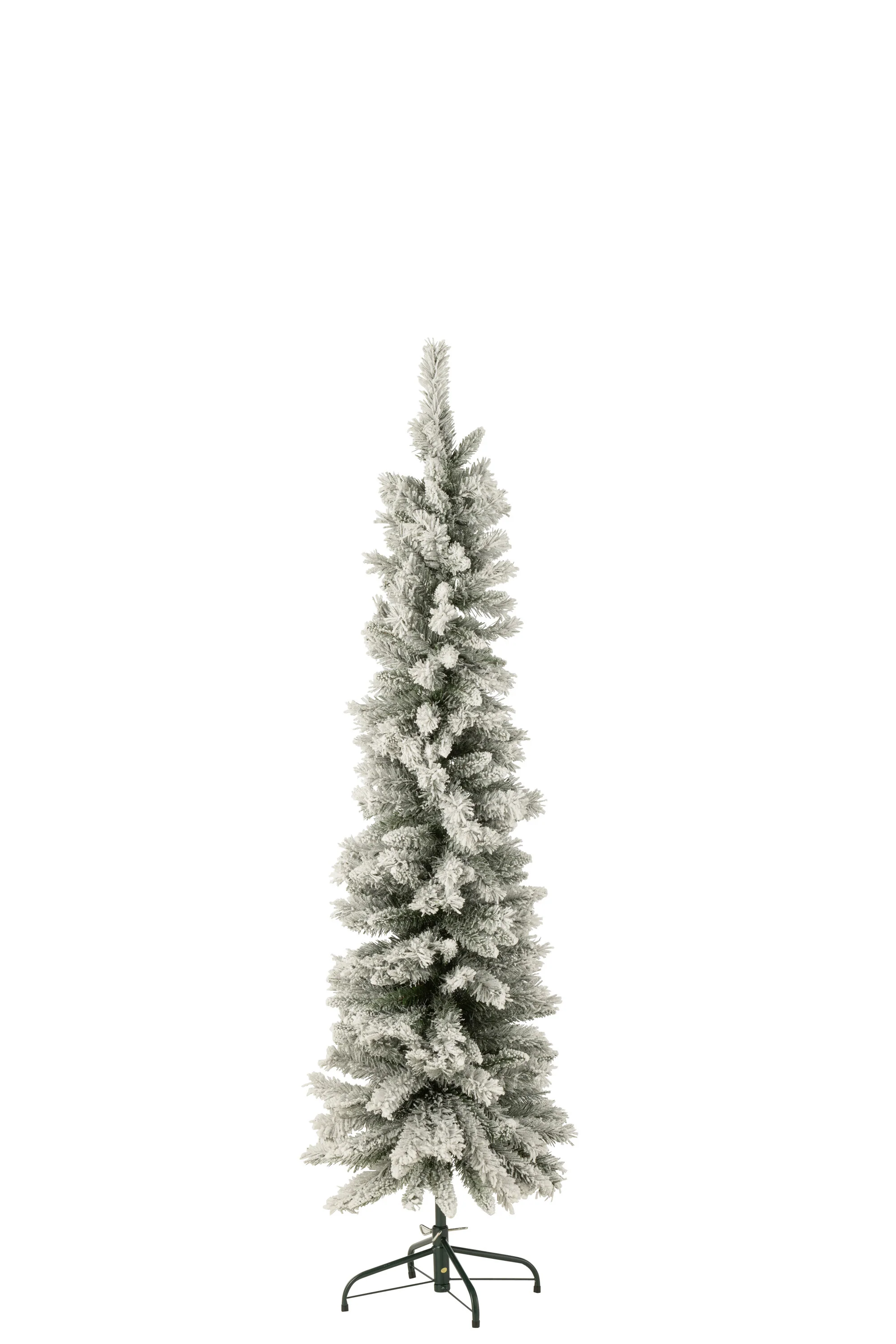 Miniatuur 1