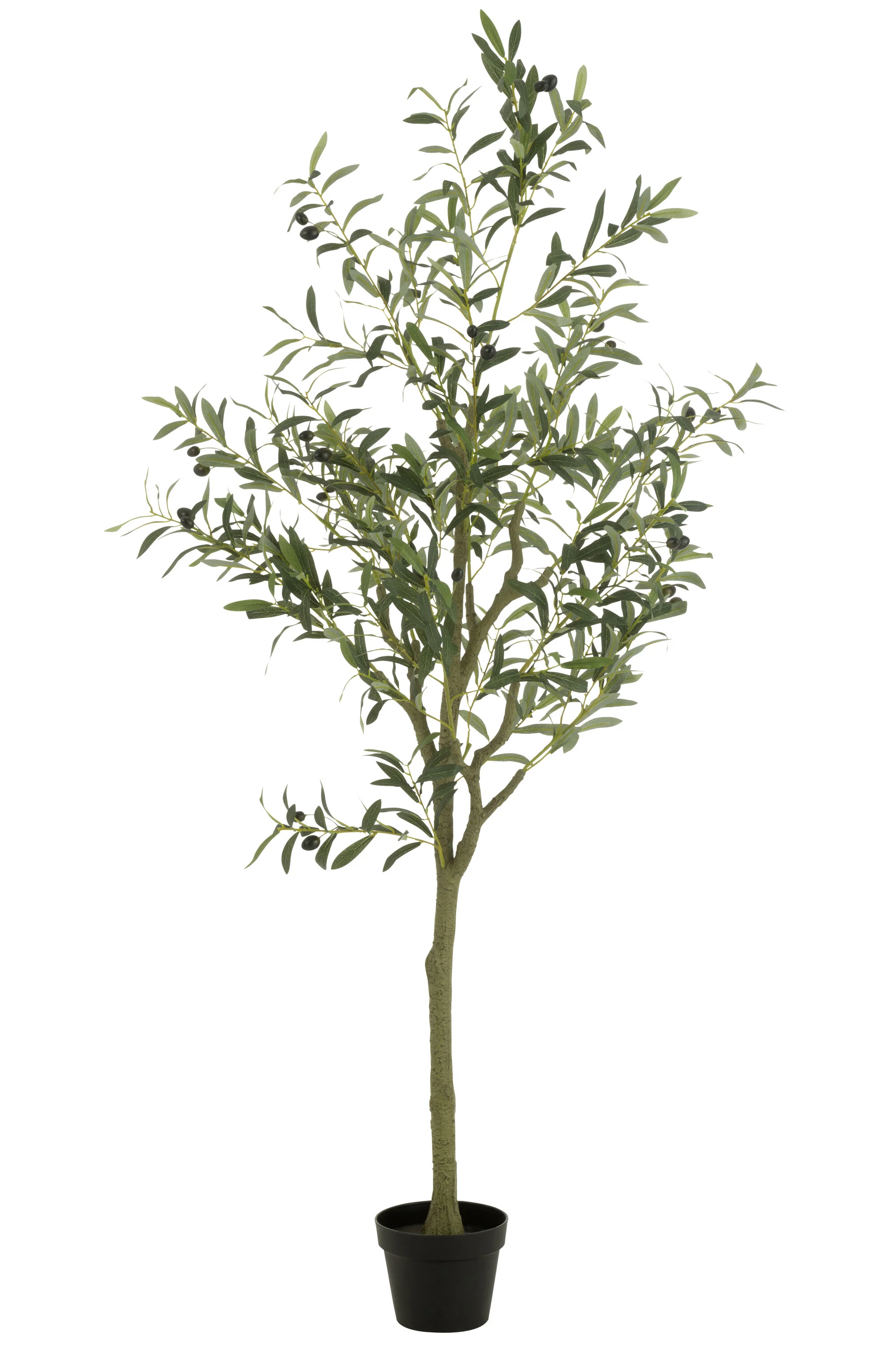 Miniatuur 1
