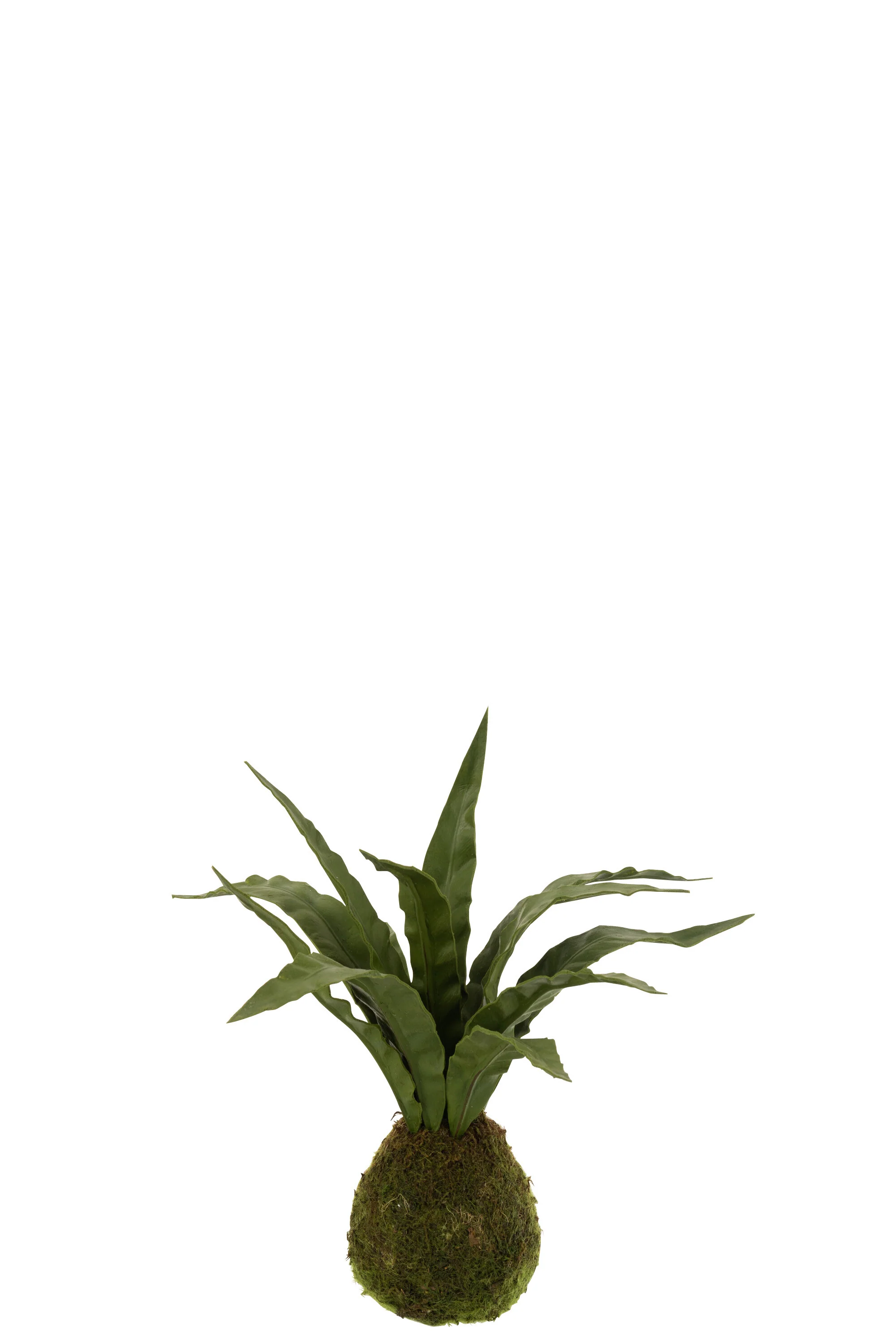 Productafbeelding 3