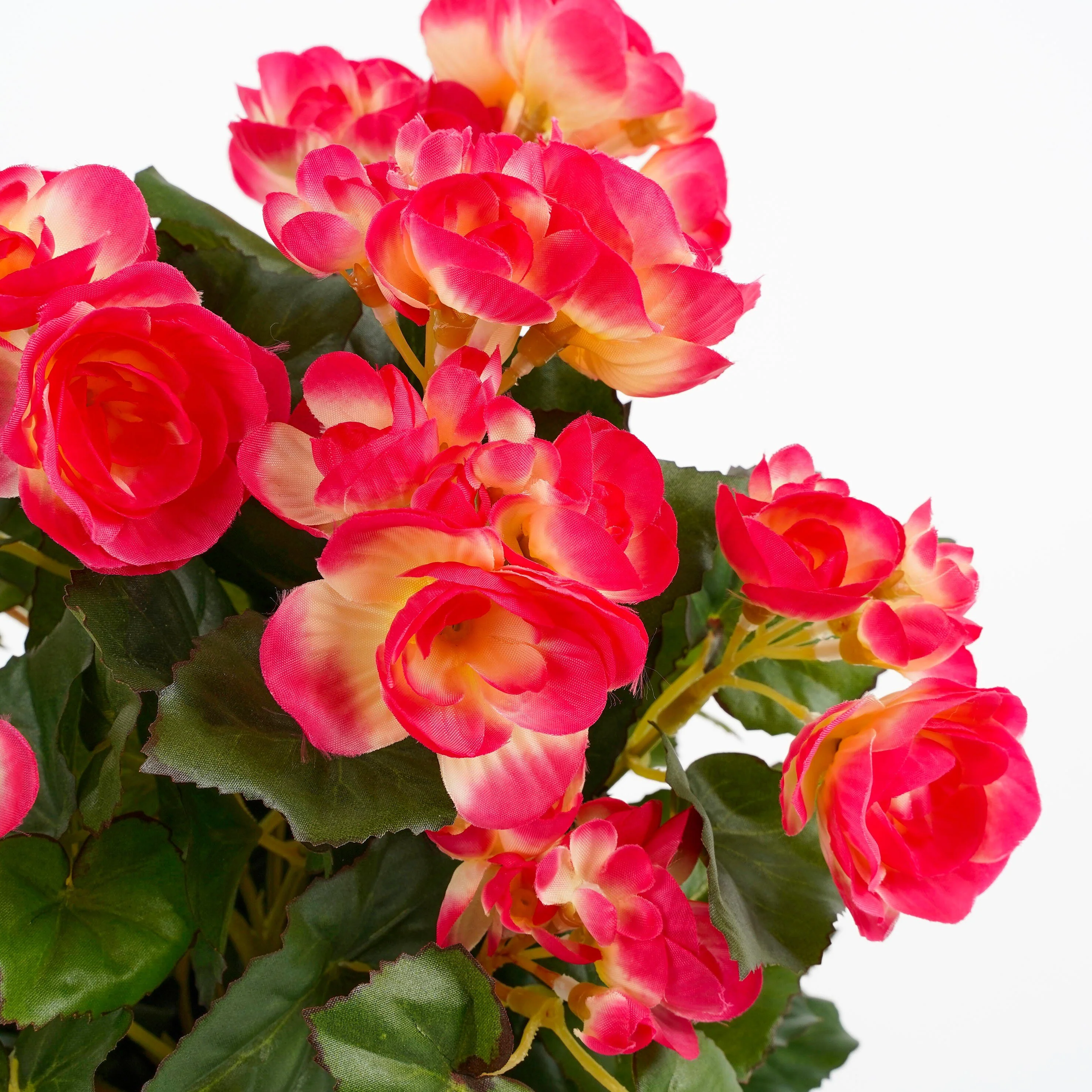 Miniatuur 2