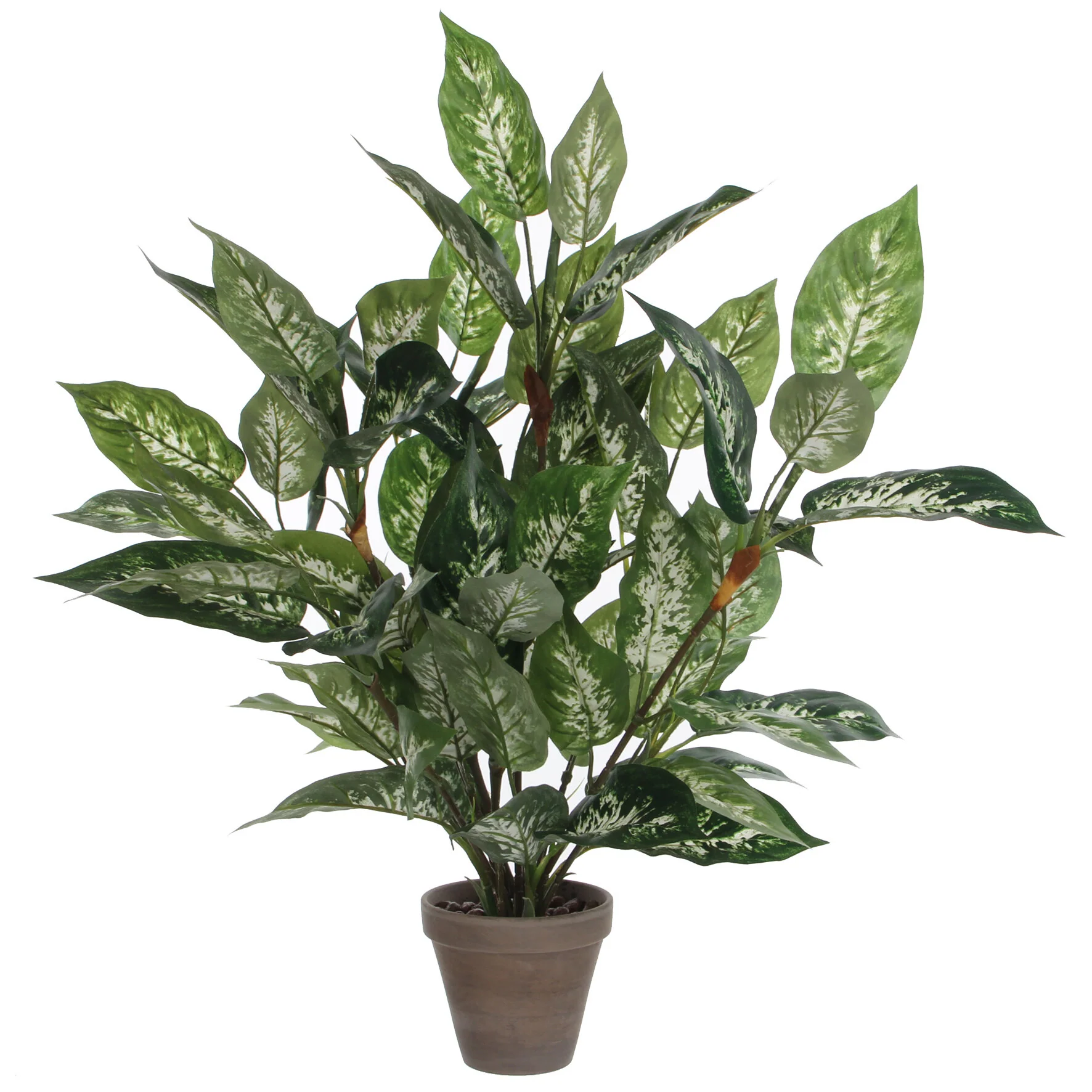 Miniatuur 1