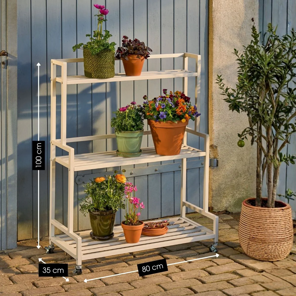 Miniatuur 2
